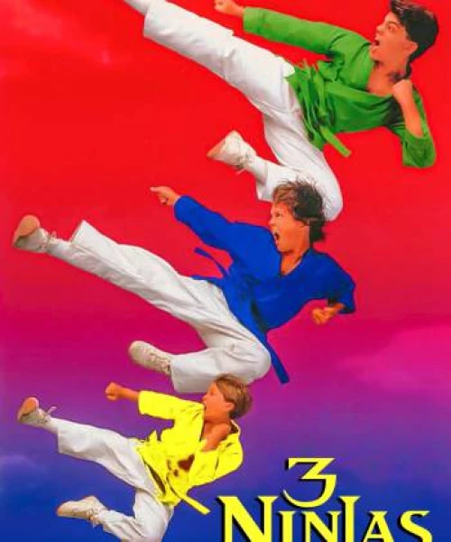 3 Ninjas Siêu Quậy 1994