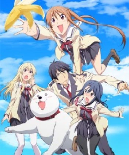 Aho Girl 2017