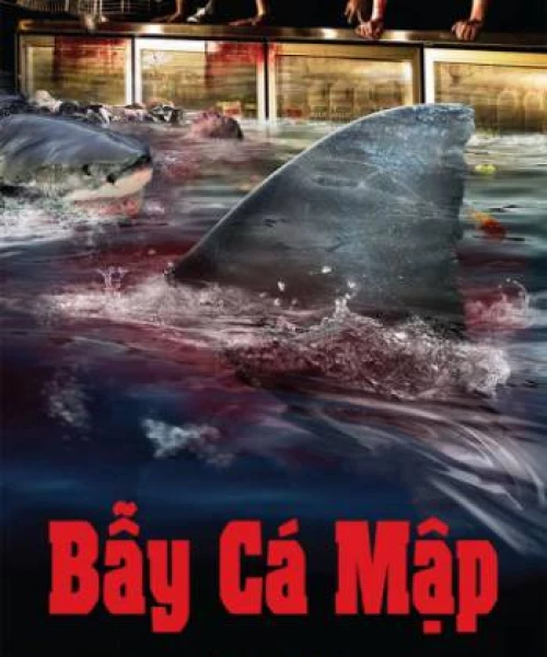 Bẫy Cá Mập 2013