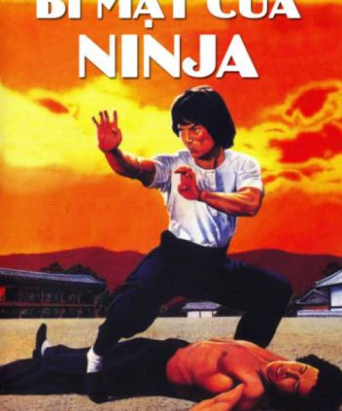 Bí Mật Của Ninja 1982