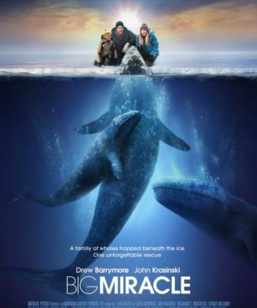 Big Miracle