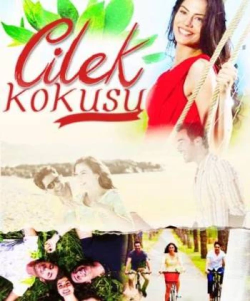 Cilek Kokusu 2015