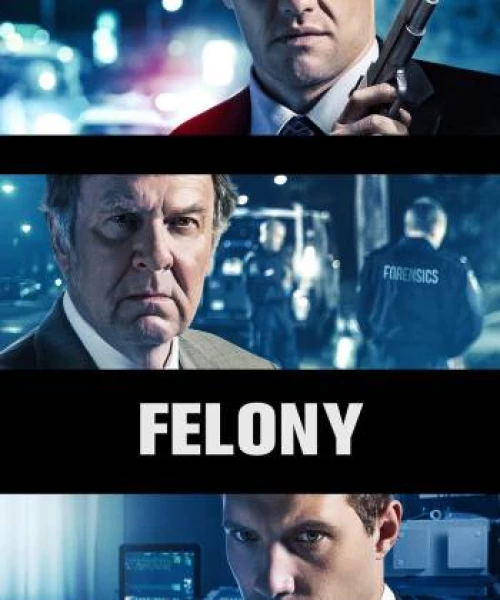 Felony 2013