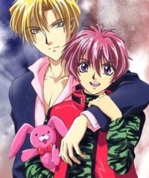 Gravitation 2000