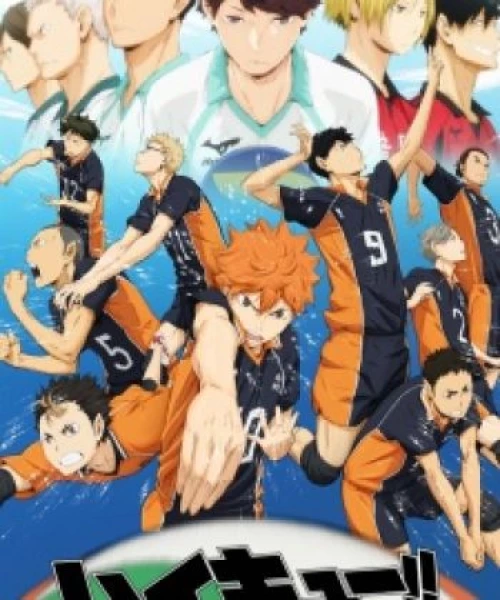 Haikyuu!! 2014