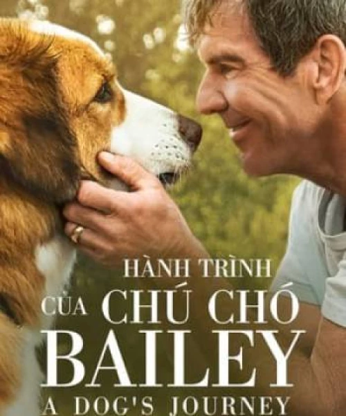 Hành Trình Của Chú Chó Bailey 2019