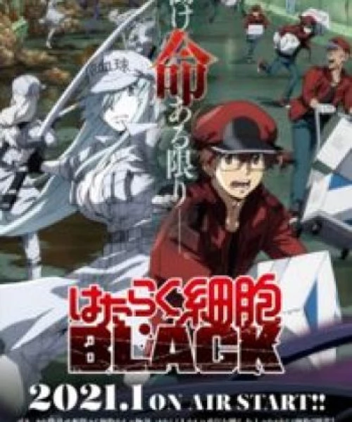 Hataraku Saibou Black 2021