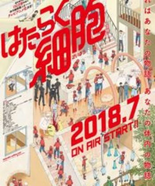 Hataraku Saibou 2018