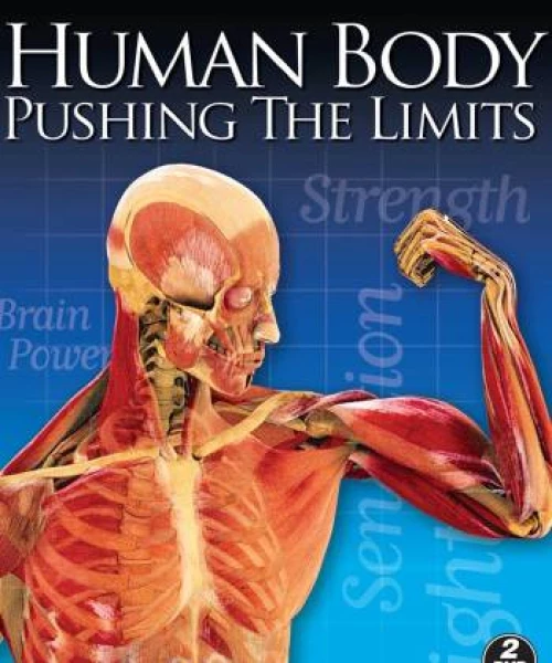 Human Body: Pushing the Limits 2008