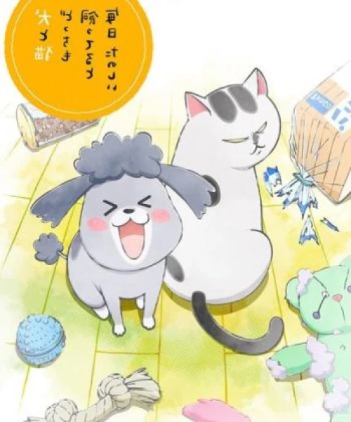 Inu to Neko Docchi mo Katteru to Mainichi Tanoshii 2020