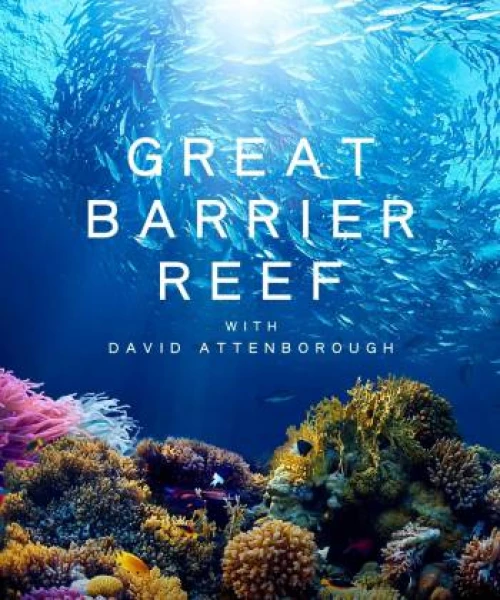 Khám Phá Rạn San Hô Great Barrier cùng David Attenborough 2015