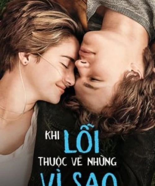 Khi Lỗi Thuộc Về Định Mệnh 2014