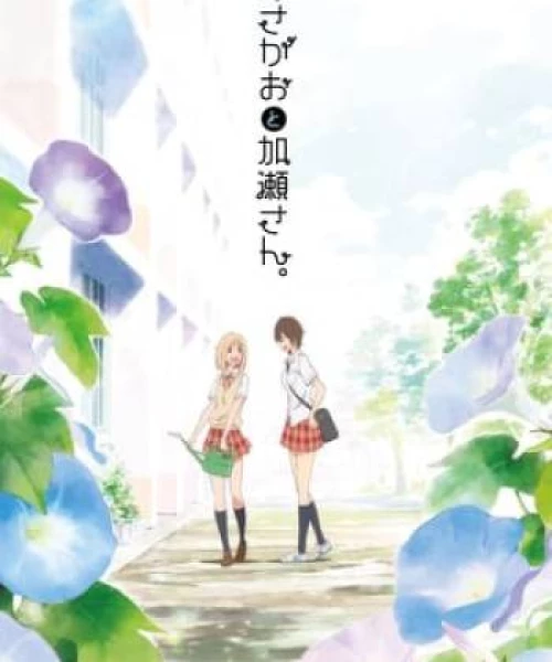 Kimi No Hikari: Asagao To Kase-San 2017