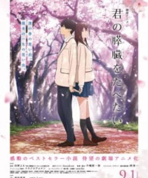 Kimi no Suizou wo Tabetai 2018