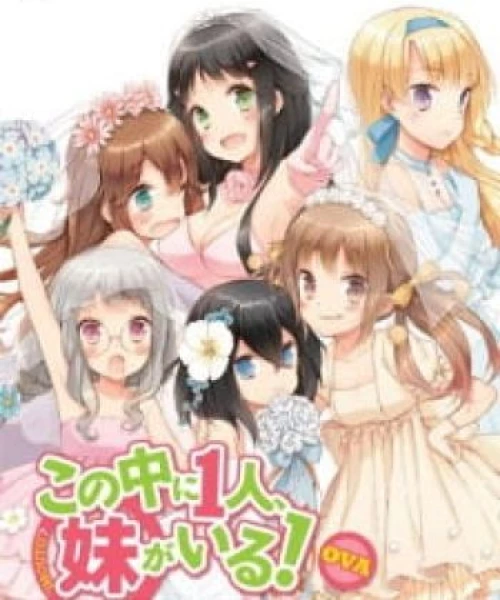 Kono Naka ni Hitori, Imouto ga Iru!: Ani, Imouto, Koibito 2013