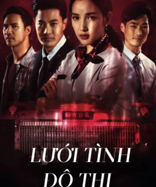 Lưới Tình Đô Thị 2019