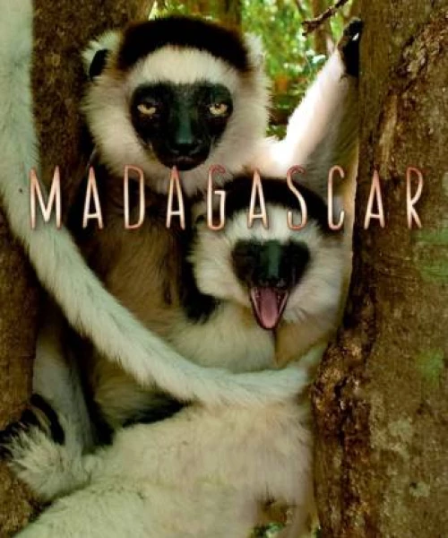 Madagascar 2011 2011