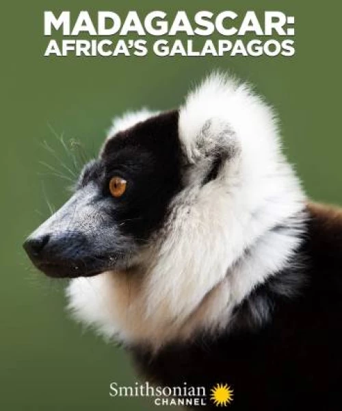 Madagascar: Africa's Galapagos 2019