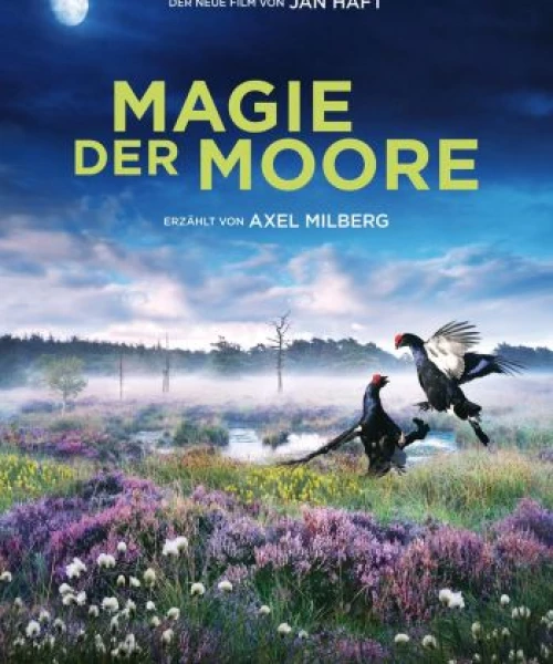 Magie der Moore 2015