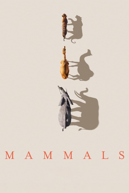 Mammals (2024) 2024