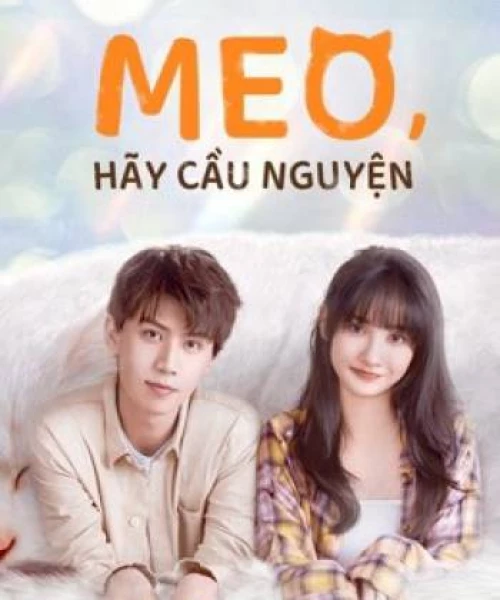 Meo, Hãy Cầu Nguyện 2021