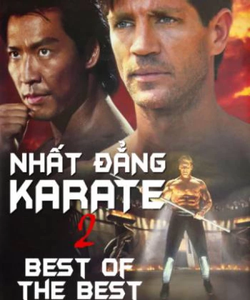 Nhất Đẳng Karate 2 1993