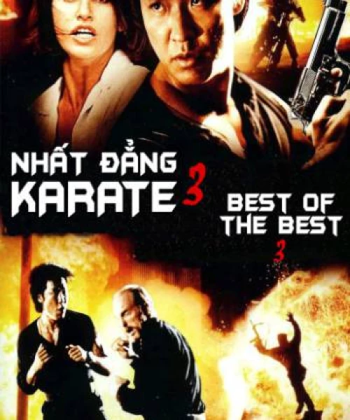 Nhất Đẳng Karate 3 1995