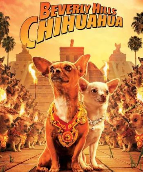 Những Chú Chó Chihuahua 2008