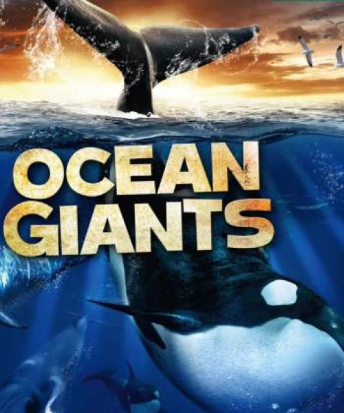 Ocean Giants 2011