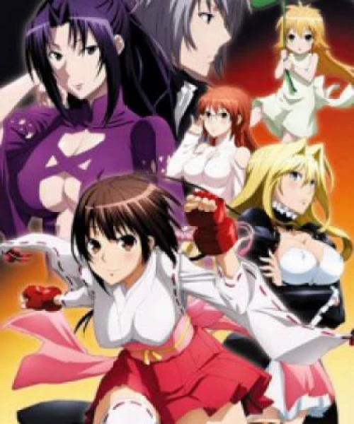 Sekirei: Pure Engagement 2010