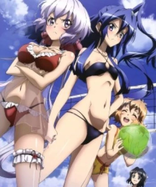 Senki Zesshou Symphogear G: Senki Zesshou Shinai Symphogear 2014