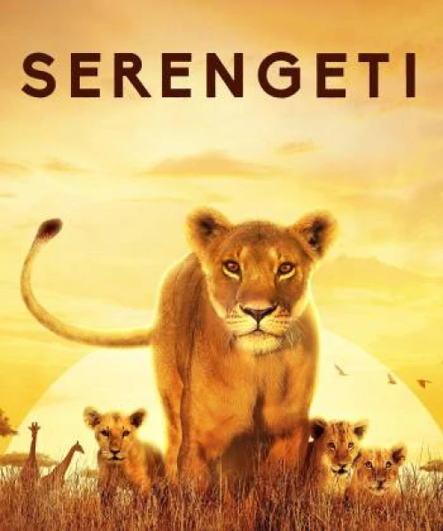 Serengeti 2019