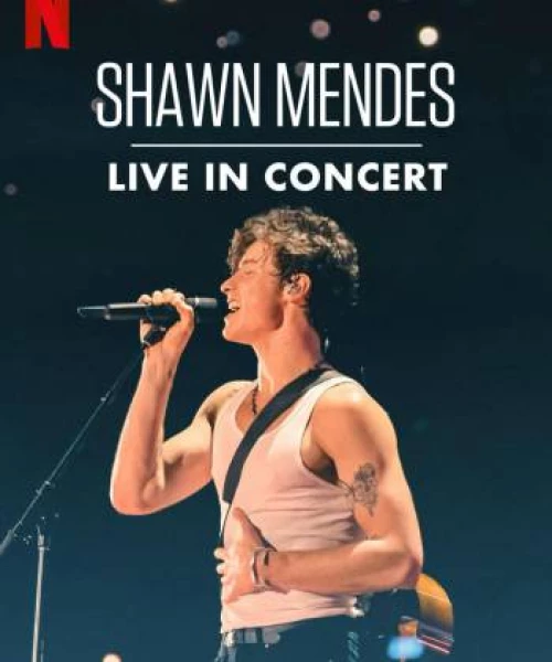 Shawn Mendes: Trực tiếp tại buổi hòa nhạc 2020