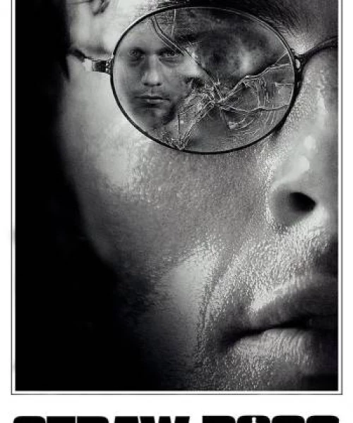 Straw Dogs 2011