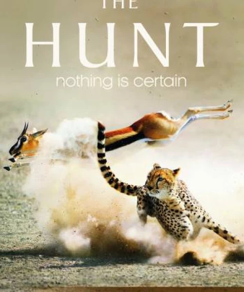 The Hunt 2015