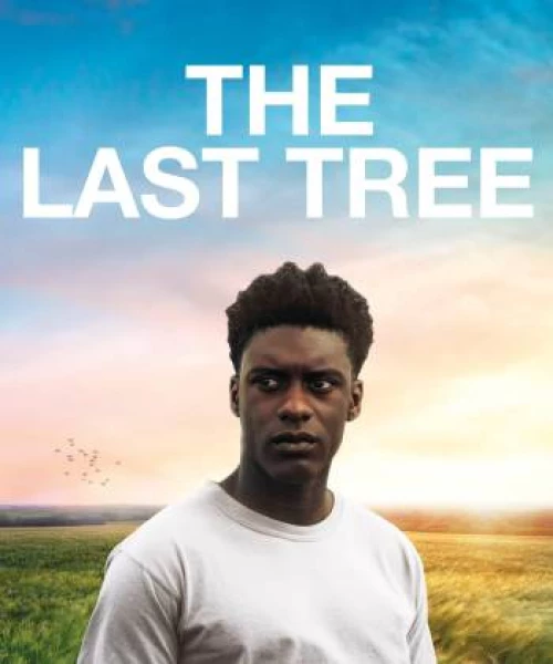 The Last Tree 2019