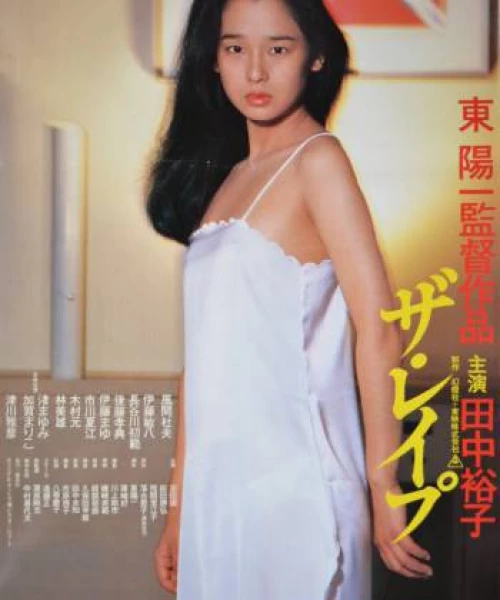 Thư Tình Già 1981