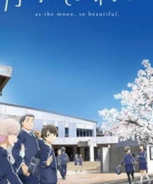 Tsuki ga Kirei 2017