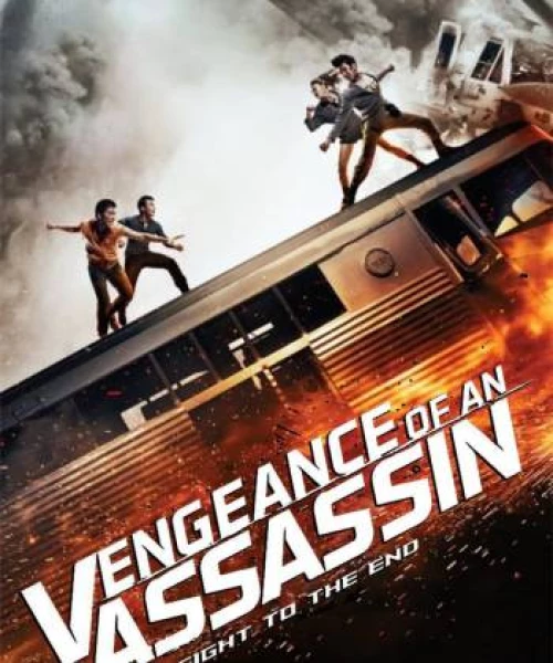 Vengeance of an Assassin 2014