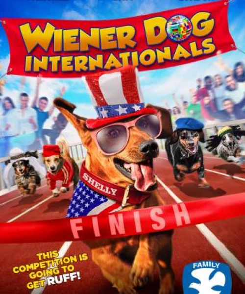 Wiener Dog Internationals 2015