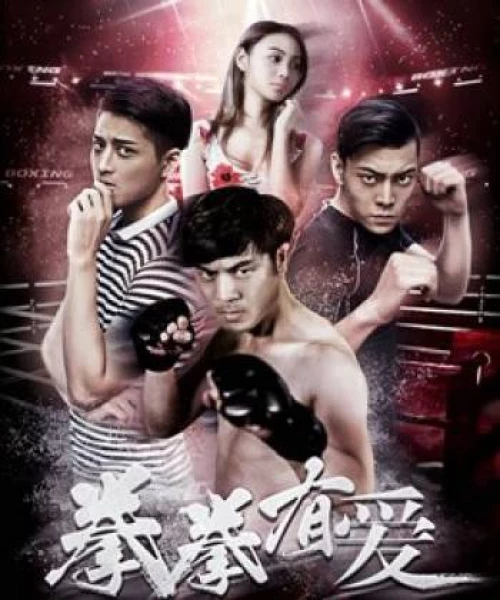 Yêu Boxer 2019