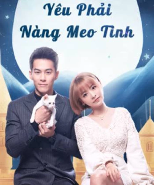 Yêu Phải Nàng Meo Tinh